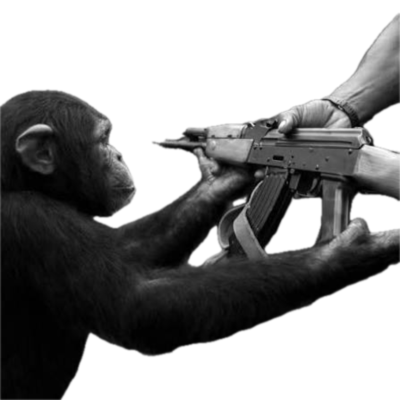 A chimpanzee being handed a rifle — the Monkeygun brand mark